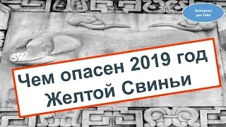 Чем опасен 2019 год желтой свиньи