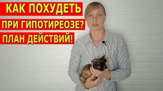 КАК ПОХУДЕТЬ ПРИ ГИПОТИРЕОЗЕ? ПЛАН ДЕЙСТВИЙ!