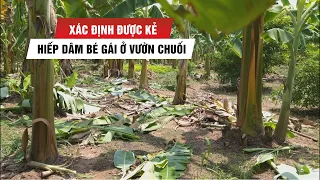 Xác định được kẻ hiếp dâm bé gái 12 tuổi trong vườn chuối ở Hà Nội