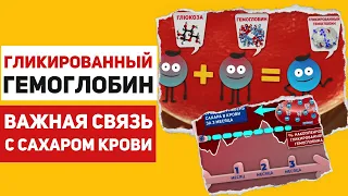 Анализ на гликированный гемоглобин – как он связан с сахаром крови, нормы, расшифровка