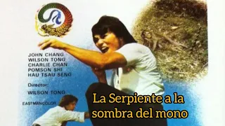 La Serpiente a la sombra del Mono 1979 | Películas Chinas en Español