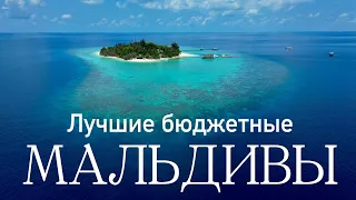 Мальдивы: лучший РИФ по доступной ЦЕНЕ. Eriyadu island resort****