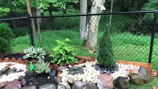 Japanese Zen Gardening in Haworth