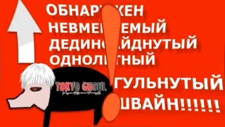 Обнаружен невменяемый дединсайднутый однолетний гульнутый швайн