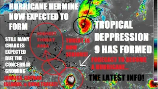 Hurricane Hermine/Ian now expected to form. Threat for Caribbean & US continues to increase! Latest