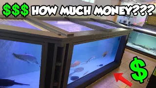 How Much Money Does It Cost To Build A Massive Plywood Aquarium?