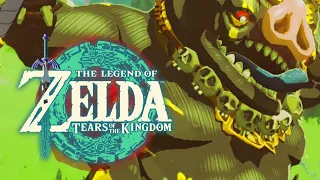 The Legend of Zelda: Tears of the Kingdom ( No Commentary ) South for Now