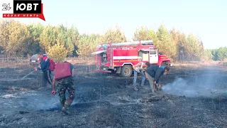 Очевидцы о пожаре в Альметьевском районе: «Метров шесть в высоту горело, практически до проводов»