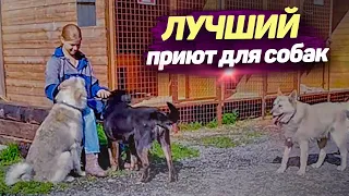 ЛУЧШИЙ ПРИЮТ ДЛЯ БЕЗДОМНЫХ СОБАК.СПАСИБО ЗА ВАШУ ПОДДЕРЖКУ