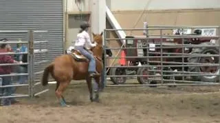 2010 4-H Reserve Champion Pole Bender