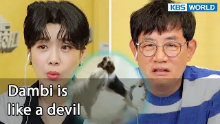 Dambi is like a devil [Dogs are incredible : EP.133-1] | KBS WORLD TV 220802