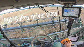 POV/GoPro/Driver view - přejezd, lištování a sklizeň řepky s S680i po boku X9 1100 a S785i