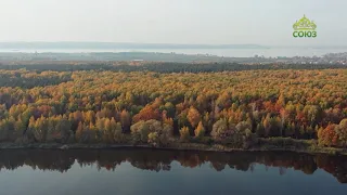 Стихи над миром. 3 ноября. Стихотворения Арсения Тарковского из поэтического диптиха "Деревья"