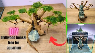 Driftwood bonsai tree for aquarium 🌳🤩|| Make a tree out of driftwood🎄