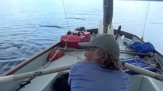 Maine Sailing 2011.m4v