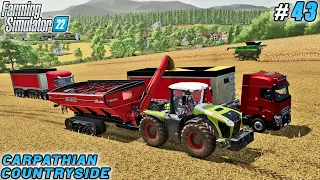 Corn Harvesting and Production Processes Management | Carpathian Countryside Farm | FS 22 | ep #43