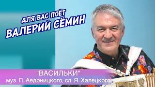 Песня из прошлого под баянчик от ВАЛЕРИЯ СЁМИНА ❤️ "ВАСИЛЬКИ". Очень душевно и красиво ❤️ ❤️ ❤️