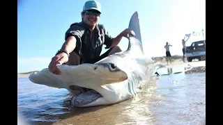 Shark Fishing (Padre Island, TX)