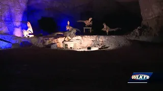 80 life-size dinosaurs going underground at Louisville Mega Cavern