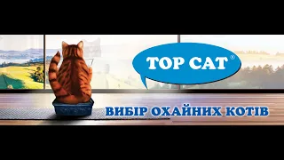 TOP CAT вибір охайних котів