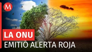 "El cambio climático está ligado con la economía": Dr. Francisco Estada ante alerta de la ONU