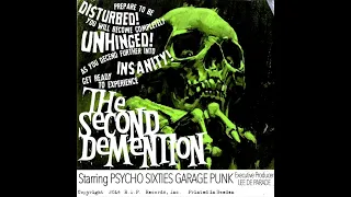 The Second Demention (Sixties Garage Punk)