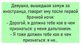 🐔Заблудился Турист В Джунглях...Большой Сборник Смешных До Слёз Анекдотов,Для Хорошего Настроения!