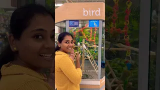 💥America pet 🐶shopல என்ன வாங்குனோம்⁉️#shorts #tamilvlog #shortsfeed #youtubeshorts #ytshorts #pets