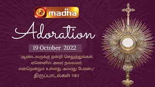 🔴 LIVE 19 October 2022 Adoration 11:00 AM | Madha TV