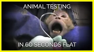 Animal Testing in 60 Seconds Flat