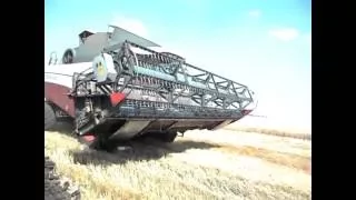 Комбайнеры. Урожай 2016 пшеница(Агрофірма СВК Солоненське)