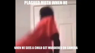 plagued moth