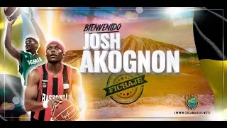 Josh Akognon, nuevo jugador del Iberostar Tenerife