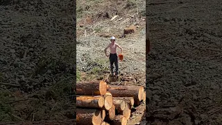 The true definition of an alpha male #logging #alpha #topg