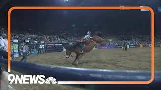 Rodeo cowboy recovering from serious injuries after fall at National Western Stock Show