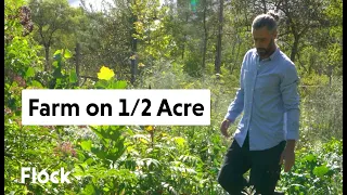 Tour 1/2 ACRE PERMACULTURE FARM with Edible Acres — Ep 013