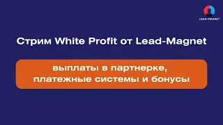 White Profit | выплаты в партнерке, платежные системы и  бонусы