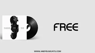 Andy BUMUNTU - FREE [Official Lyrics Video]