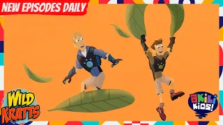 Wild Kratts | The Mouse Lemur Is After Us! | Akili Kids!