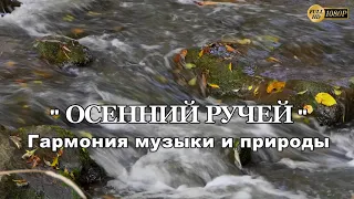 "Осенний ручей"  Нежный шум воды под музыку. Живой мир (Мир Природы) / The Natural World /