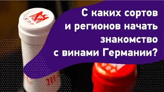 С каких сортов и регионов начать знакомство с винами Германии? Как выбрать немецкое вино. Зект.