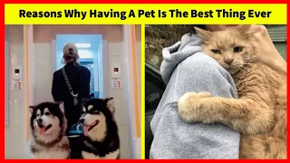 Reasons Why Having A Pet Is The Best Thing Ever