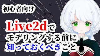 【初心者向け】知らないと損！Live2Dでキャラクターモデリングをする前に知っておくべきこと