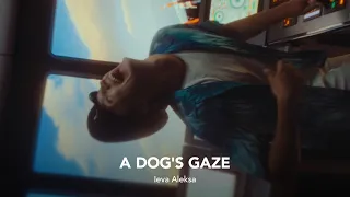 A DOG'S GAZE Trailer | RIGA IFF 2023