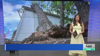 ‘Worst I’ve ever seen,’: Cleanup continues in Wimberley following severe storm