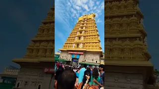 Chamundeshwari Temple Mysore Karnataka #mysore #viral #chamundeshwaritemple #karnataka