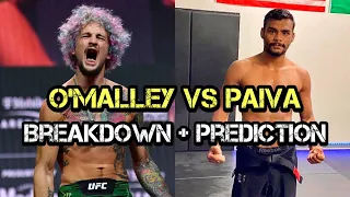 Sean O'Malley vs Raulian Paiva - UFC 269 Prediction