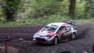 WRC Wales 2019 - Shakedown [HIGHLIGHTS]