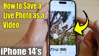 iPhone 14's/14 Pro Max: How to Save a Live Photo as a Video