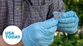 Surprise found in West Point time capsule after appearing empty | USA TODAY